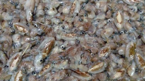 La Dolce Vita in giardino PALERMO (106)