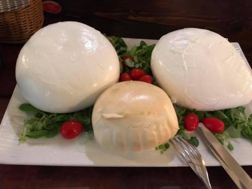 La Dolce Vita in giardino PALERMO (112)