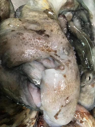 La Dolce Vita in giardino PALERMO (113)