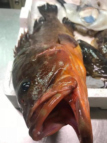 La Dolce Vita in giardino PALERMO (115)