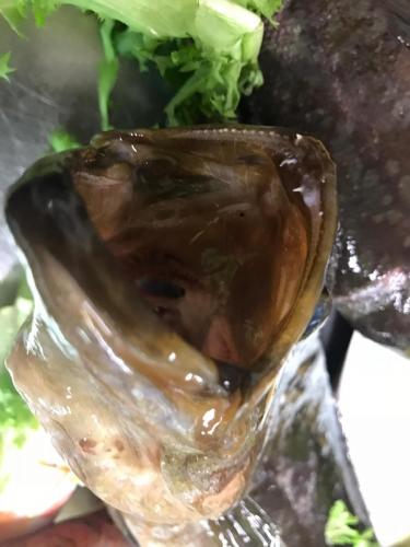 La Dolce Vita in giardino PALERMO (116)