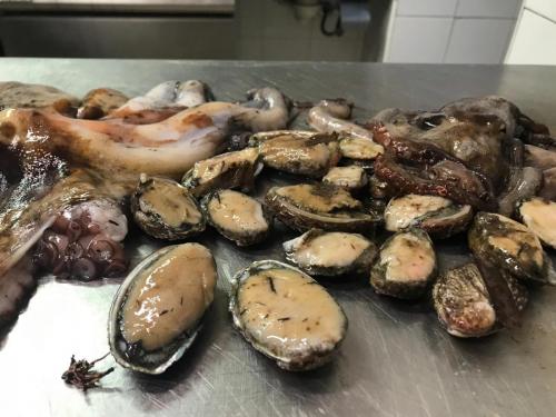 La Dolce Vita in giardino PALERMO (119)