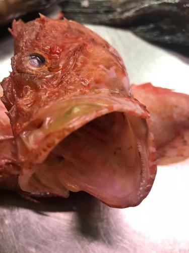 La Dolce Vita in giardino PALERMO (129)