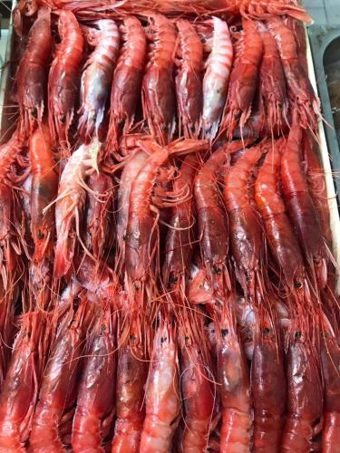 La Dolce Vita in giardino PALERMO (132)