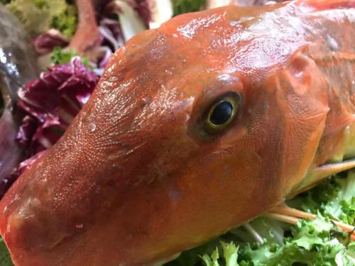 La Dolce Vita in giardino PALERMO (134)