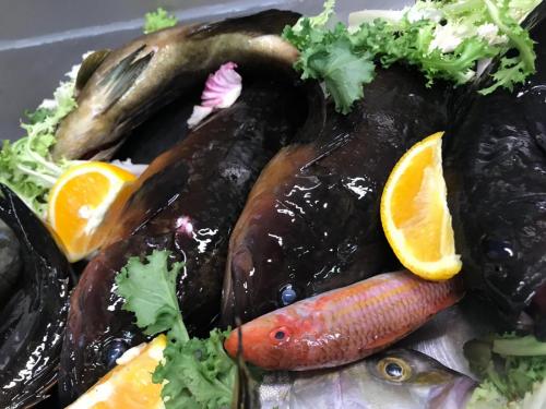 La Dolce Vita in giardino PALERMO (139)