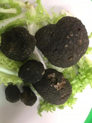 La Dolce Vita in giardino PALERMO (140)