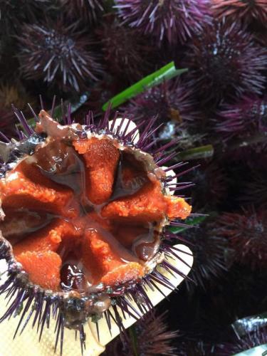 La Dolce Vita in giardino PALERMO (144)