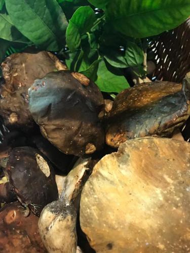 La Dolce Vita in giardino PALERMO (145)