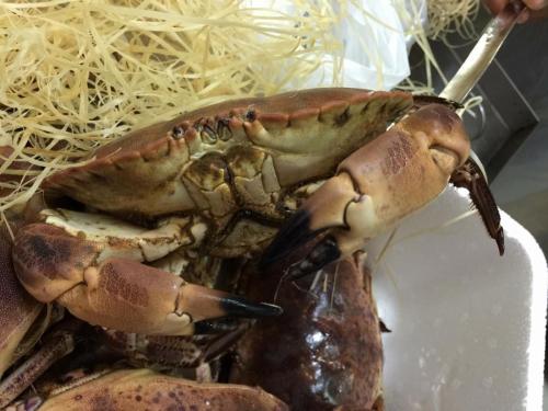 La Dolce Vita in giardino PALERMO (146)