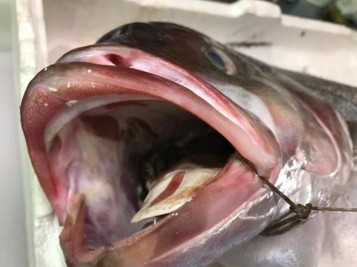 La Dolce Vita in giardino PALERMO (147)