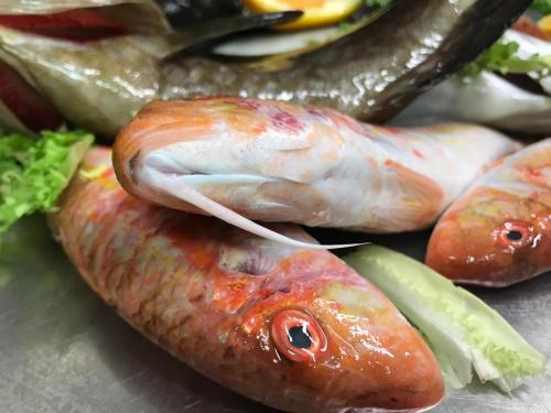 La Dolce Vita in giardino PALERMO (148)