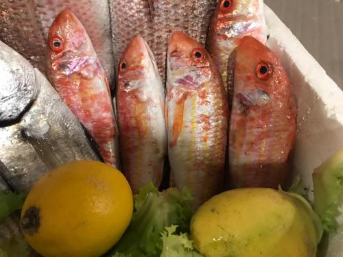 La Dolce Vita in giardino PALERMO (33)