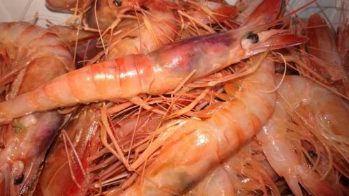 La Dolce Vita in giardino PALERMO (38)