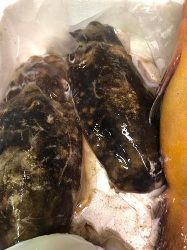 La Dolce Vita in giardino PALERMO (44)