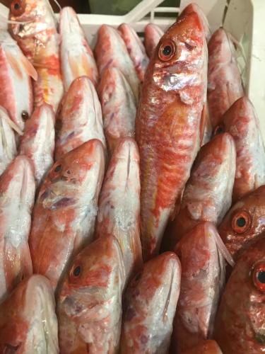 La Dolce Vita in giardino PALERMO (52)