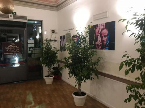 La Dolce Vita in giardino PALERMO (54)