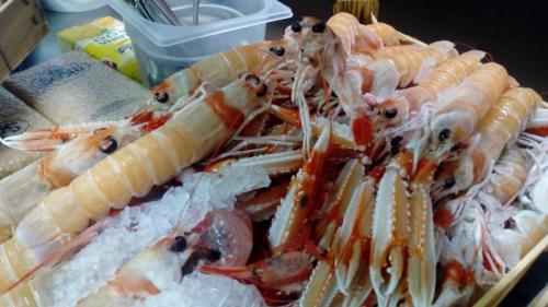 La Dolce Vita in giardino PALERMO (57)