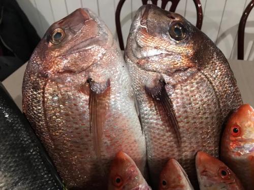 La Dolce Vita in giardino PALERMO (58)