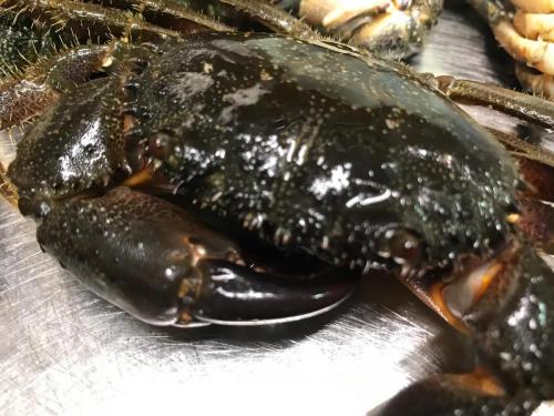 La Dolce Vita in giardino PALERMO (59)