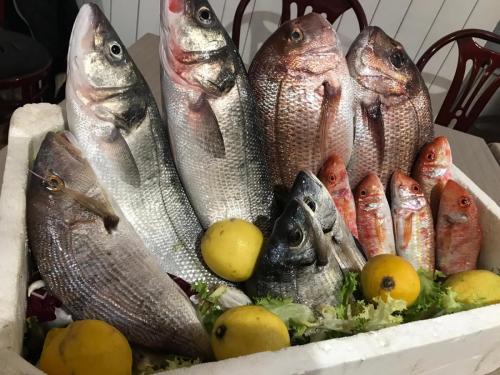 La Dolce Vita in giardino PALERMO (64)