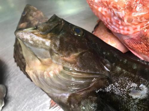 La Dolce Vita in giardino PALERMO (66)