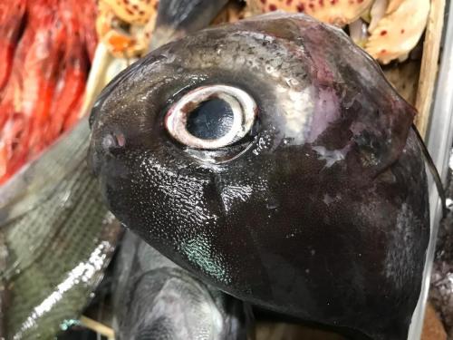 La Dolce Vita in giardino PALERMO (74)