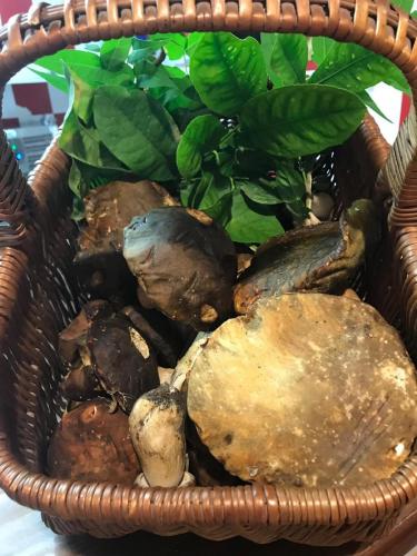 La Dolce Vita in giardino PALERMO (76)