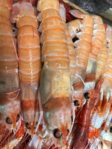 La Dolce Vita in giardino PALERMO (81)