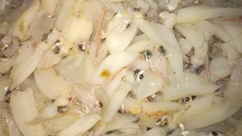 La Dolce Vita in giardino PALERMO (82)