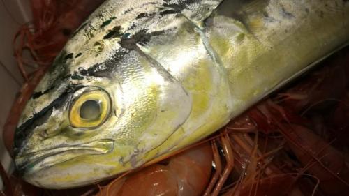 La Dolce Vita in giardino PALERMO (86)