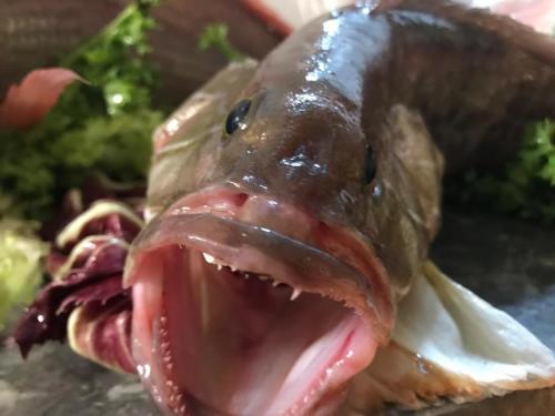 La Dolce Vita in giardino PALERMO (87)