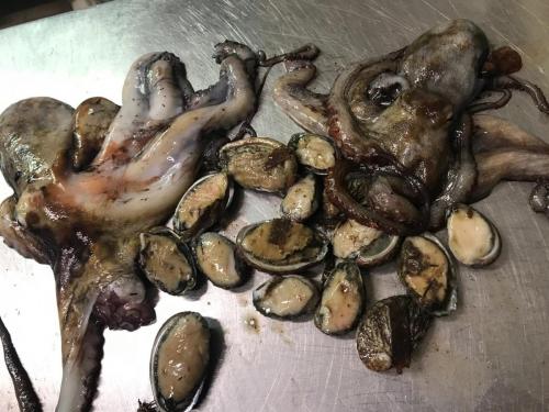 La Dolce Vita in giardino PALERMO (89)