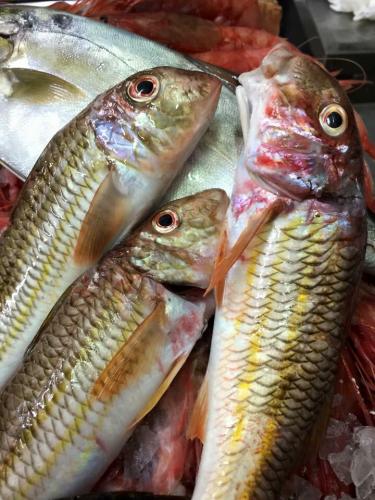 La Dolce Vita in giardino PALERMO (93)