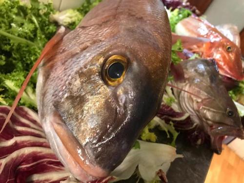 La Dolce Vita in giardino PALERMO (95)