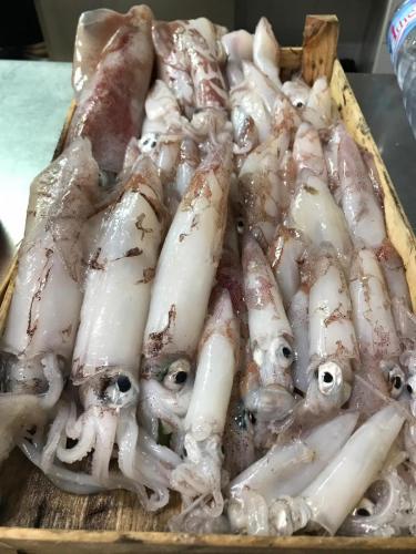 La Dolce Vita in giardino PALERMO (98)